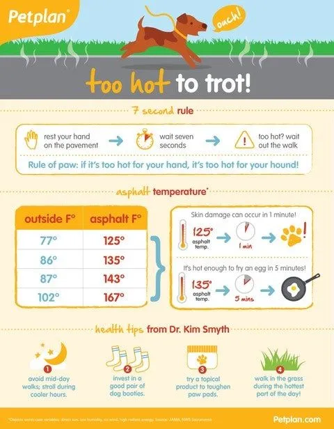 Asphalt temperature compared to air temperature and the seven-second rule