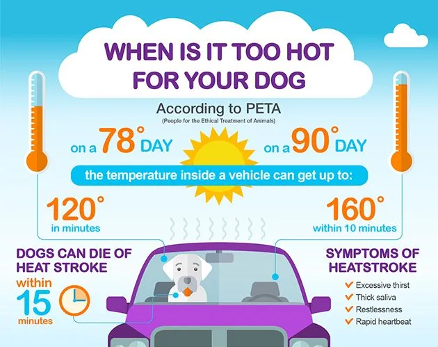 How hot the inside of a car gets on a 78 and 90 degree day
