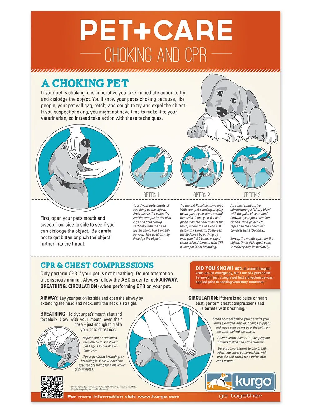 What to do if your dog is choking, and how to perform chest compressions