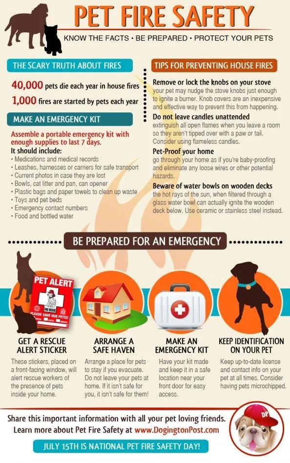 Prevent your pets from starting fires: candles, stove knobs, cords and water bowls on wooden decks