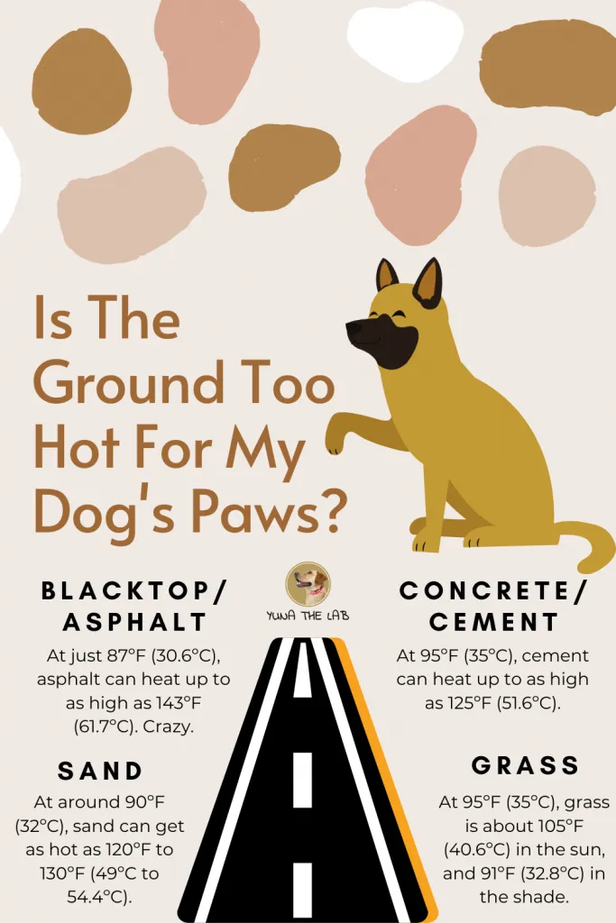 Is the ground too hot for my dog’s paws? Blacktop and concrete temperature comparison