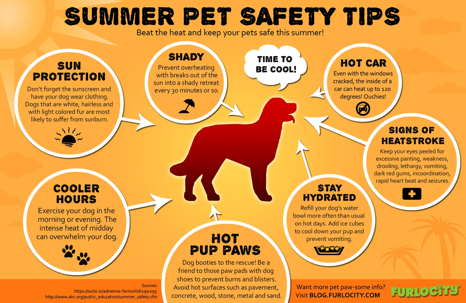 Summer pet safety tips
