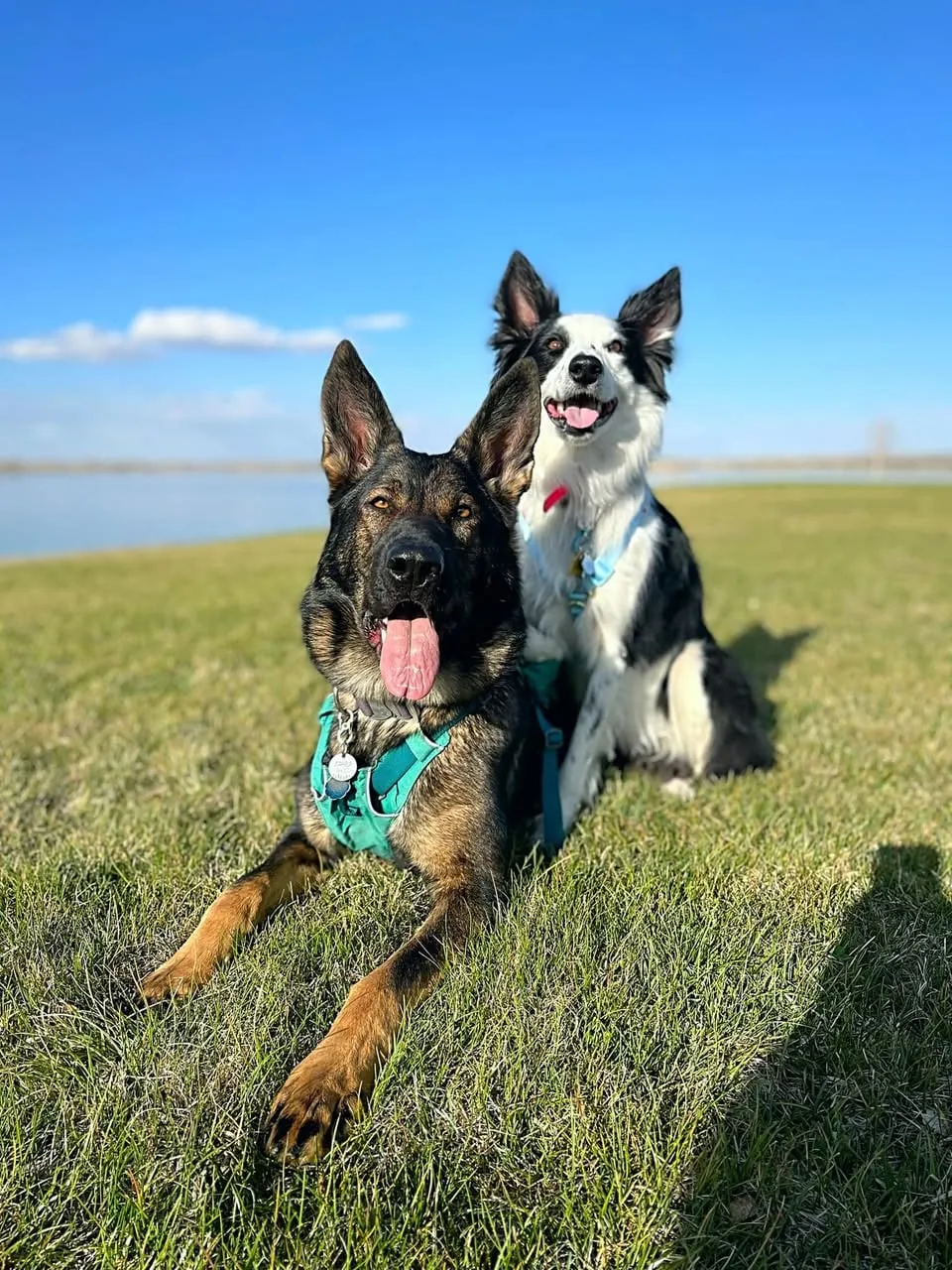 April & Daisie