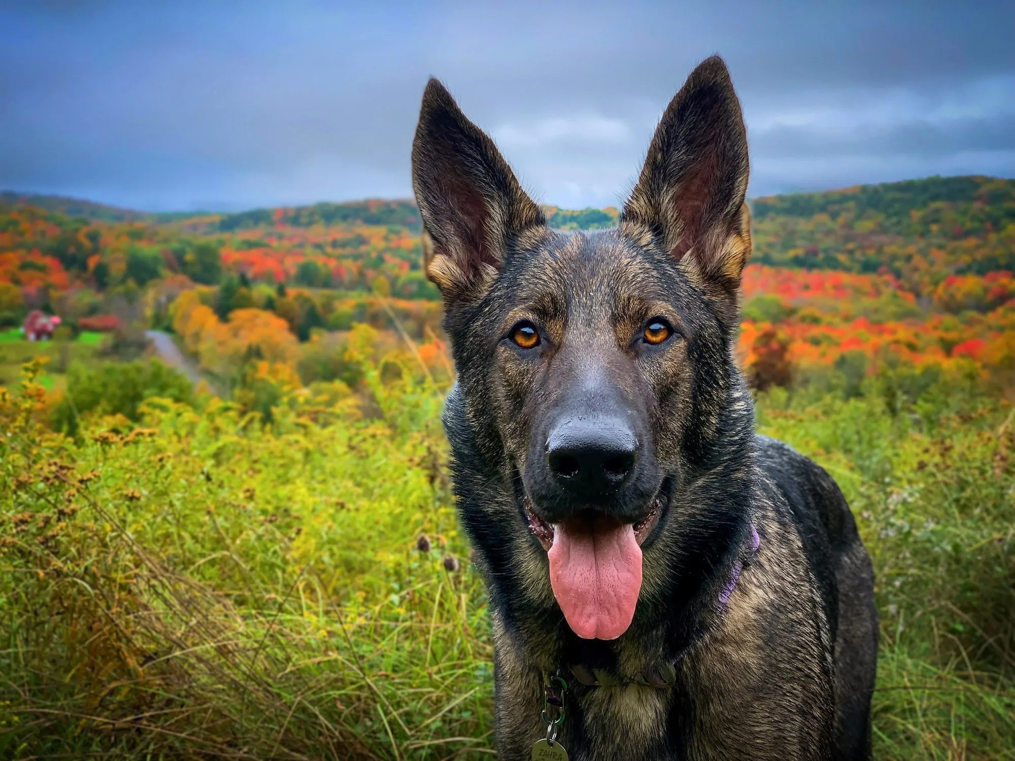 Zahra in front of fall foliage